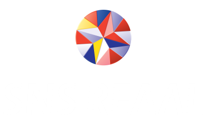 SNS Reaal logo